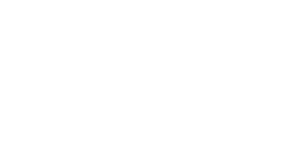 Экспертиза 
и опыт